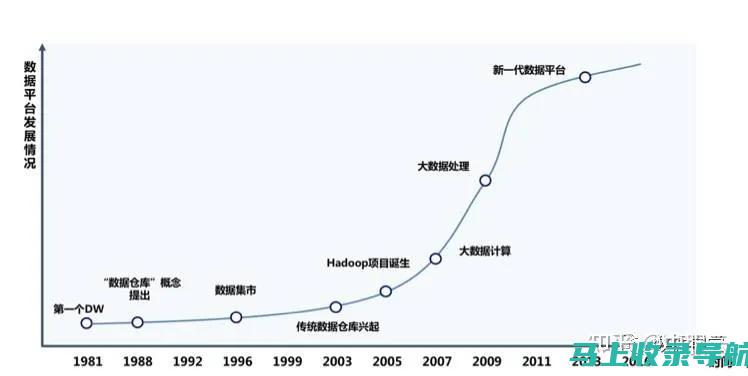 数据管理时代的先锋：统计站长的五大核心职责