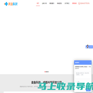 成都APP开发公司,APP定制,软件外包,小程序开发公司【麦鱼科技】